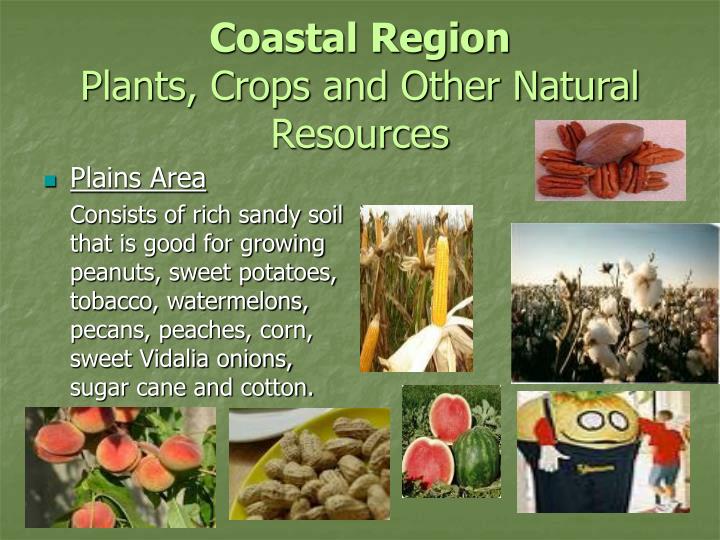 Coastal Plain Georgia Natural Resources Coastal Plain Georgia Natural Resources