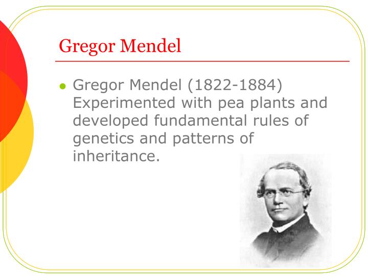 PPT - Mendel and His Discoveries PowerPoint Presentation - ID:3201257