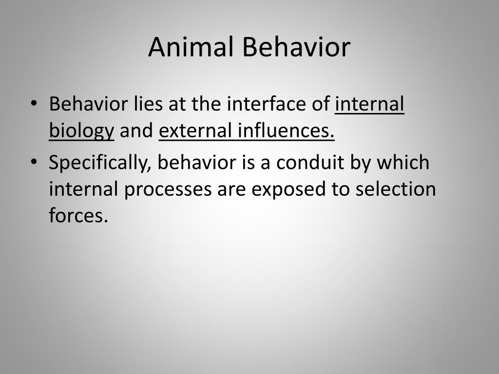 PPT - Integrating Advances in Biology: The Future of Organismal and ...