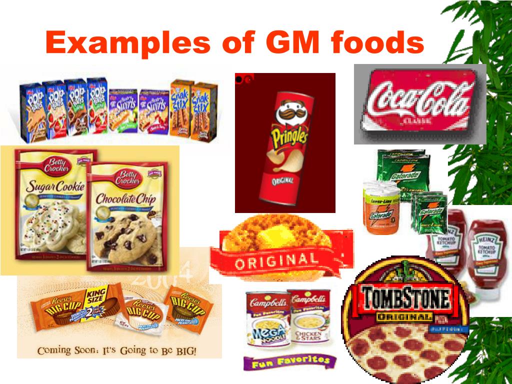 gm food presentation