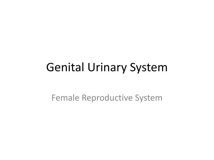 Ppt Genital Urinary System Powerpoint Presentation Free Download Id 3202086