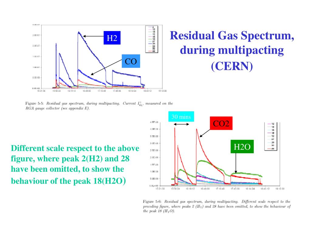 PPT RHIC electron cloud and vacuum pressure rise characteristics