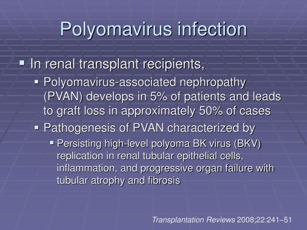 PPT BK virus infection post renal transplant PowerPoint Presentation