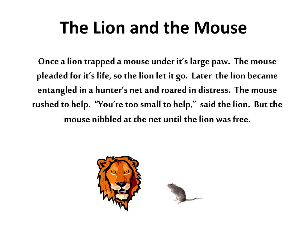 the lion and the mouse essay