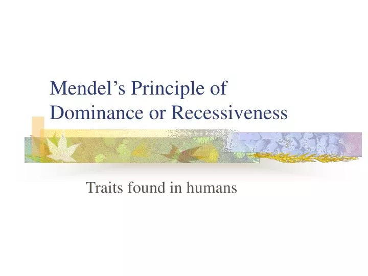 ppt mendels principle of dominance or recessiveness principle of dominance
