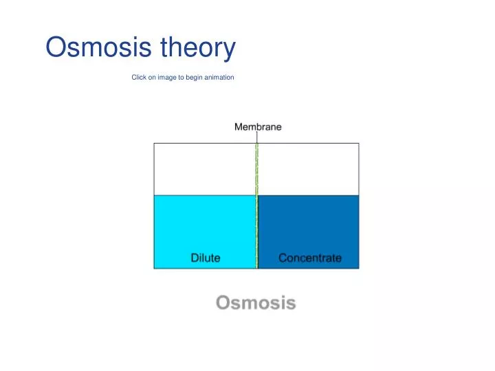 PPT - Osmosis theory PowerPoint Presentation, free download - ID:3211196