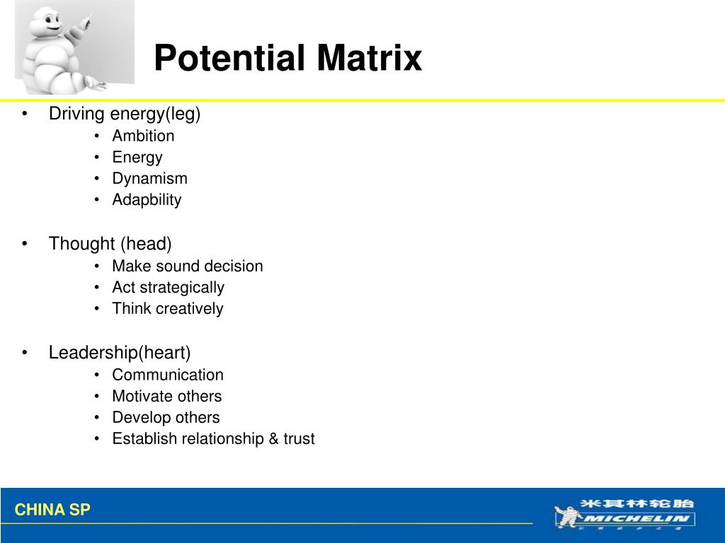 PPT - Strategic Talent Plan in Michelin China Julie Chu Nov. 2009 ...