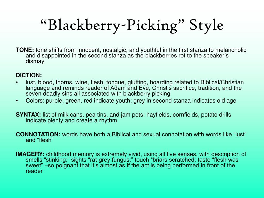 blackberry picking metaphor