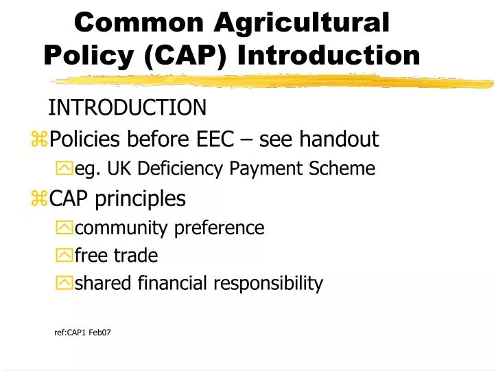 common agricultural policy cap essay Common agricultural policy: a chance to fix the food chain the rules and funding for farming in the european union are being rewritten from now to. common agricultural policy cap essay Common agricultural policy: a chance to fix the food chain the rules and funding for farming in the european union are being rewritten from now to.