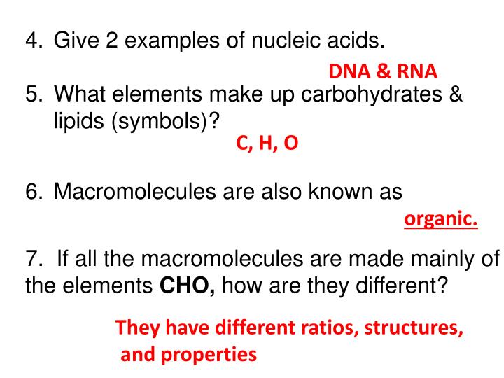 Give 2 Examples Of Nucleic Acids What Elements Make Up Give 2 Examples Of Nucleic Acids What Elements Make Up