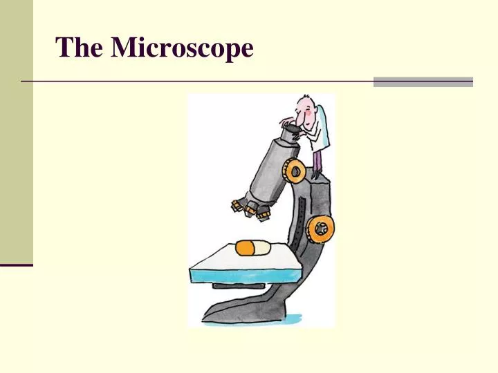 PPT - The Microscope PowerPoint Presentation, free download - ID:3216570