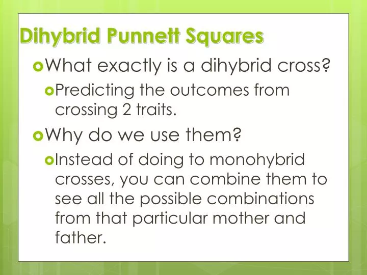 PPT - Dihybrid Punnett Squares PowerPoint Presentation, free download - ID:3219591