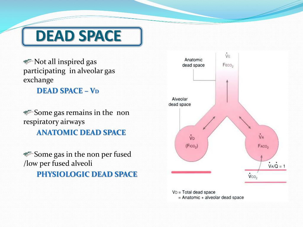what is dead space lungs