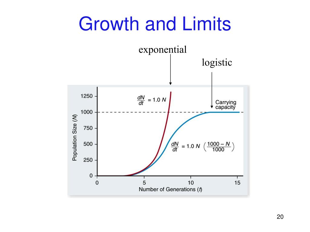 Population Growth Rate Ecology