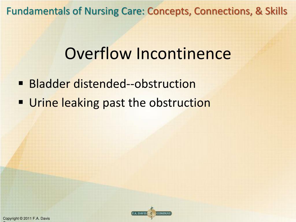PPT Chapter 31 PowerPoint Presentation, free download ID3224049