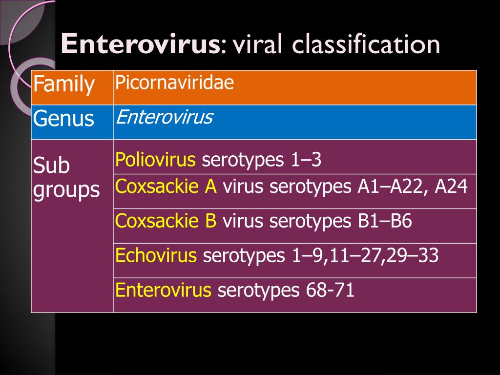 PPT HandFootMouth Disease/ Enterovirus 71 PowerPoint Presentation
