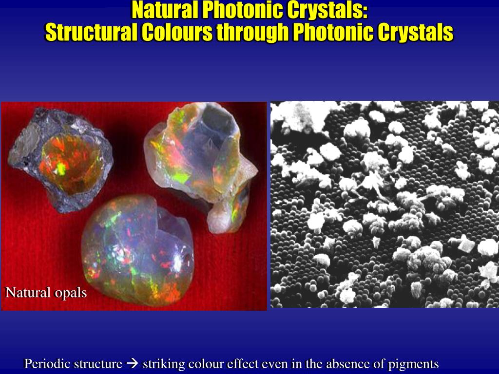 nlo crystals ppt