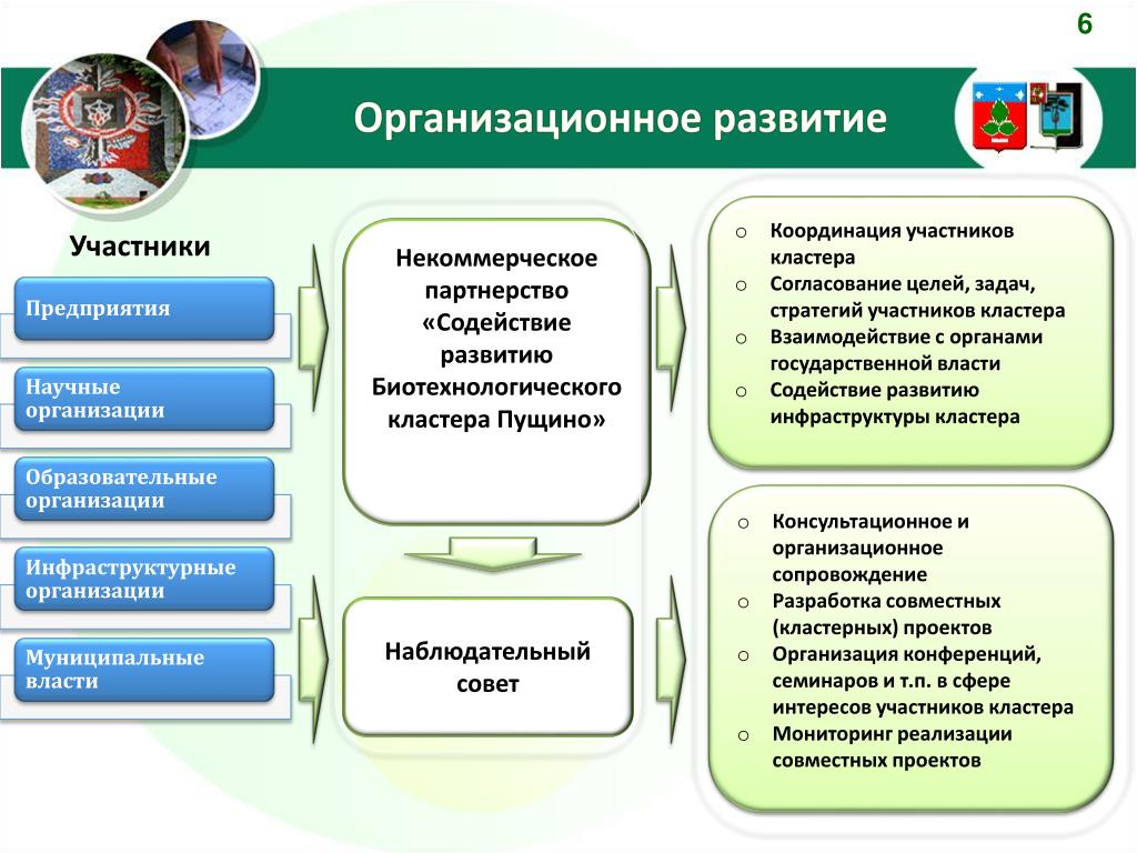 Содействие реализации. Организационное развитие. Организационное развитие организации. Биотехнология кластер. Участники кластера.