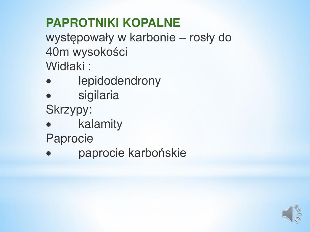 Jak Wyglądał Jacek Soplica W Młodości PPT - JAK POWSTAŁ WĘGIEL KAMIENNY? PowerPoint Presentation, free