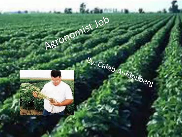 PPT Agronomist Job PowerPoint Presentation, free download ID3233498