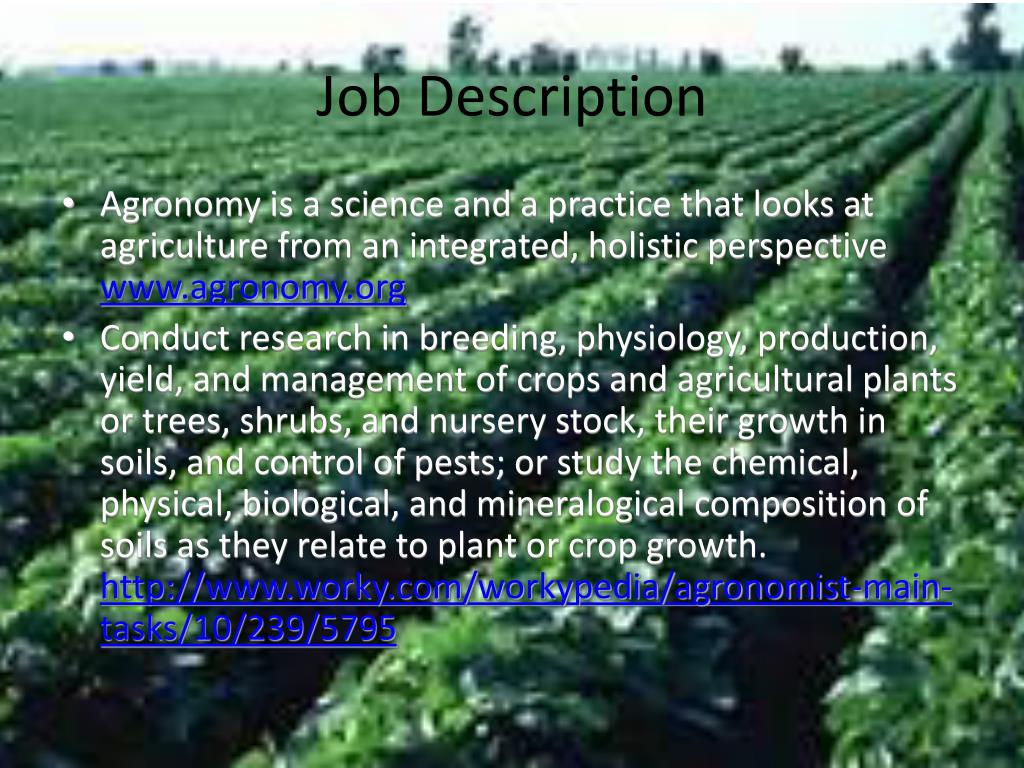 field research agronomist job description