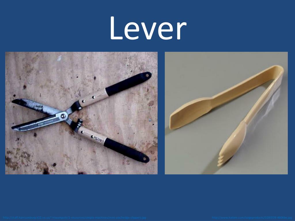 PPT A. V. Vocabulary Forces Grade 3 PowerPoint Presentation, free