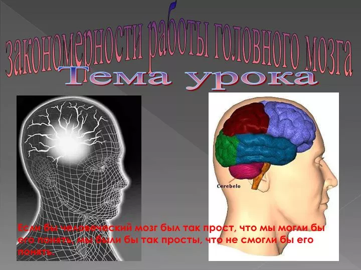 Субару головного мозга видео