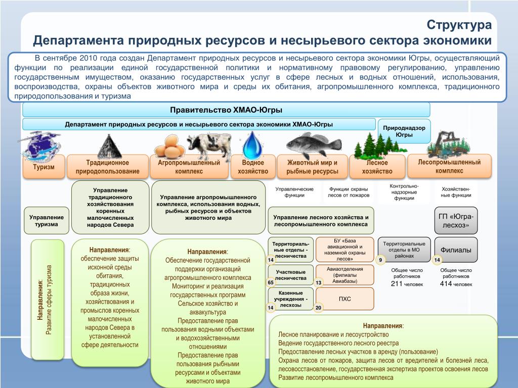 Министерство природных ресурсов структура