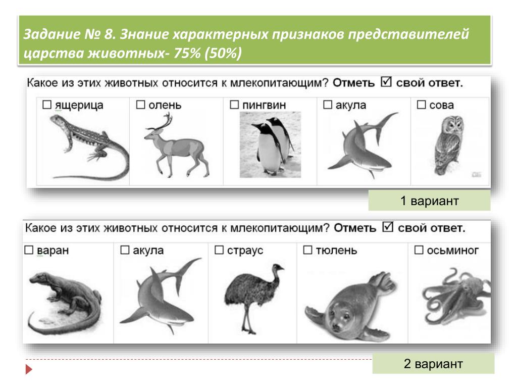 Тест по биологии млекопитающие 8 класс ответы. Млекопитающие задания. Многообразие млекопитающих.