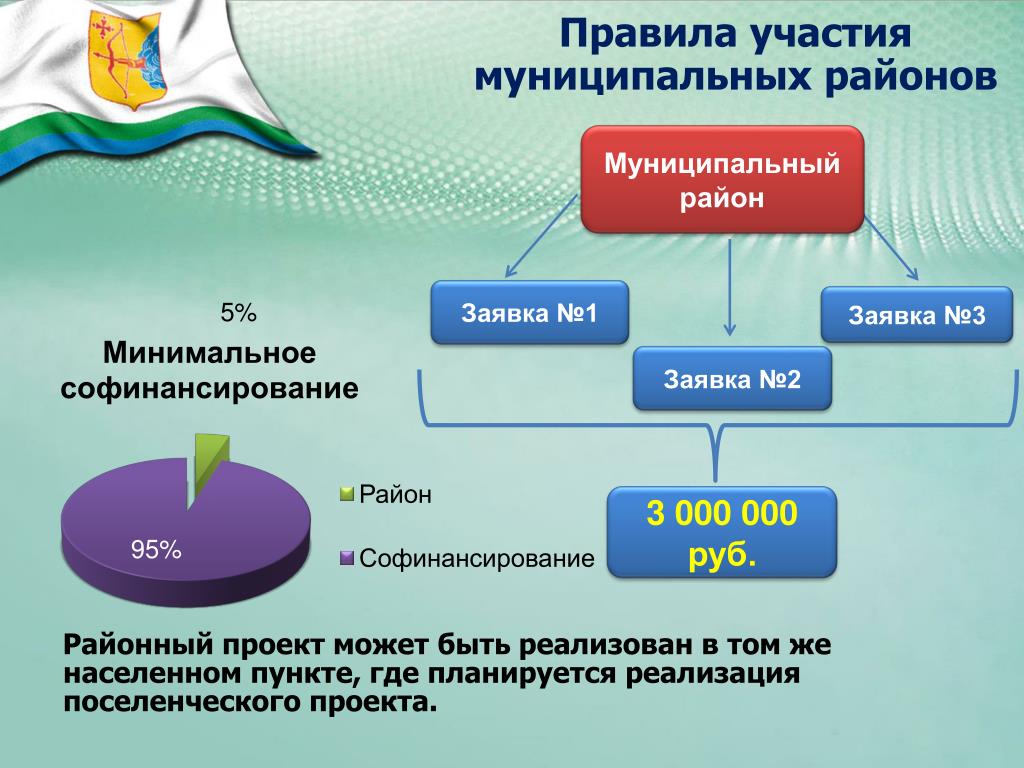 Сумма софинансирования проекта что это