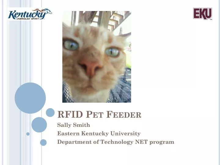 Ppt Rfid Pet Feeder Powerpoint Presentation Free Download Id