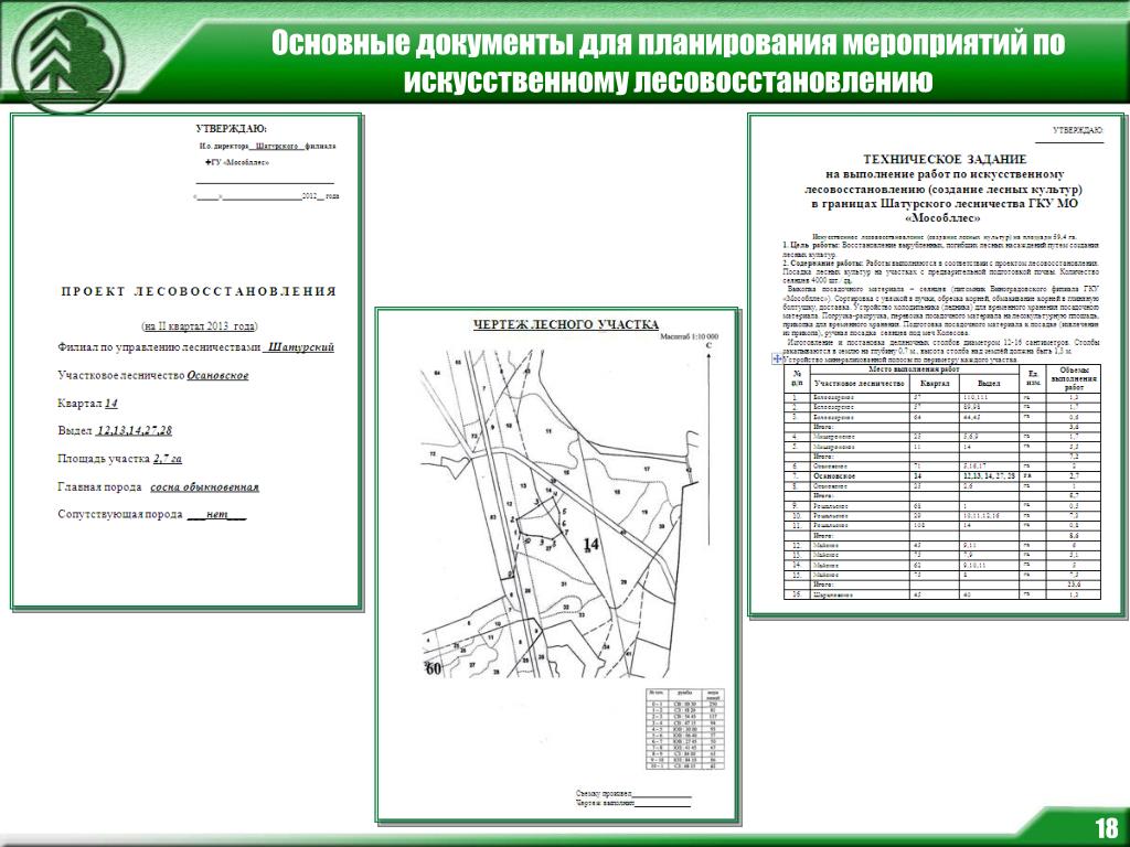 Об утверждении правил лесовосстановления состава проекта лесовосстановления