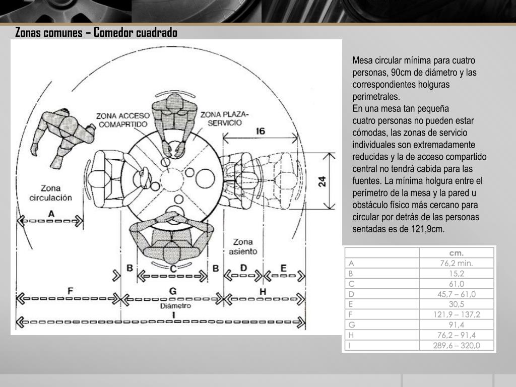 PPT - Antropometría PowerPoint Presentation, free download - ID:3243963