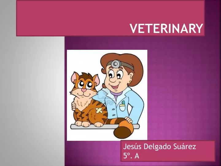 PPT Veterinary PowerPoint Presentation, free download ID3244647