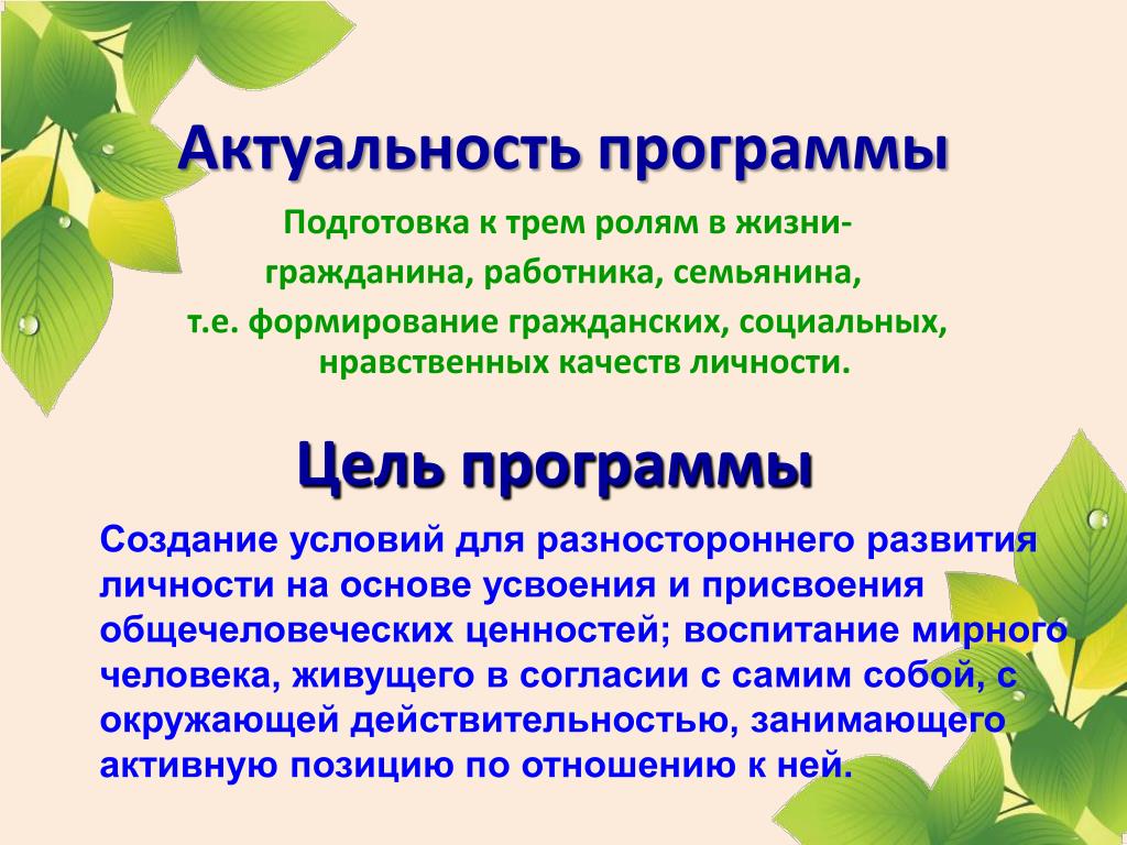Программа подготовки проекта. Актуальность создания программы. Актуальность школьной программы. Программы развития класса. Актуальность программы «школа – территория безопасности».