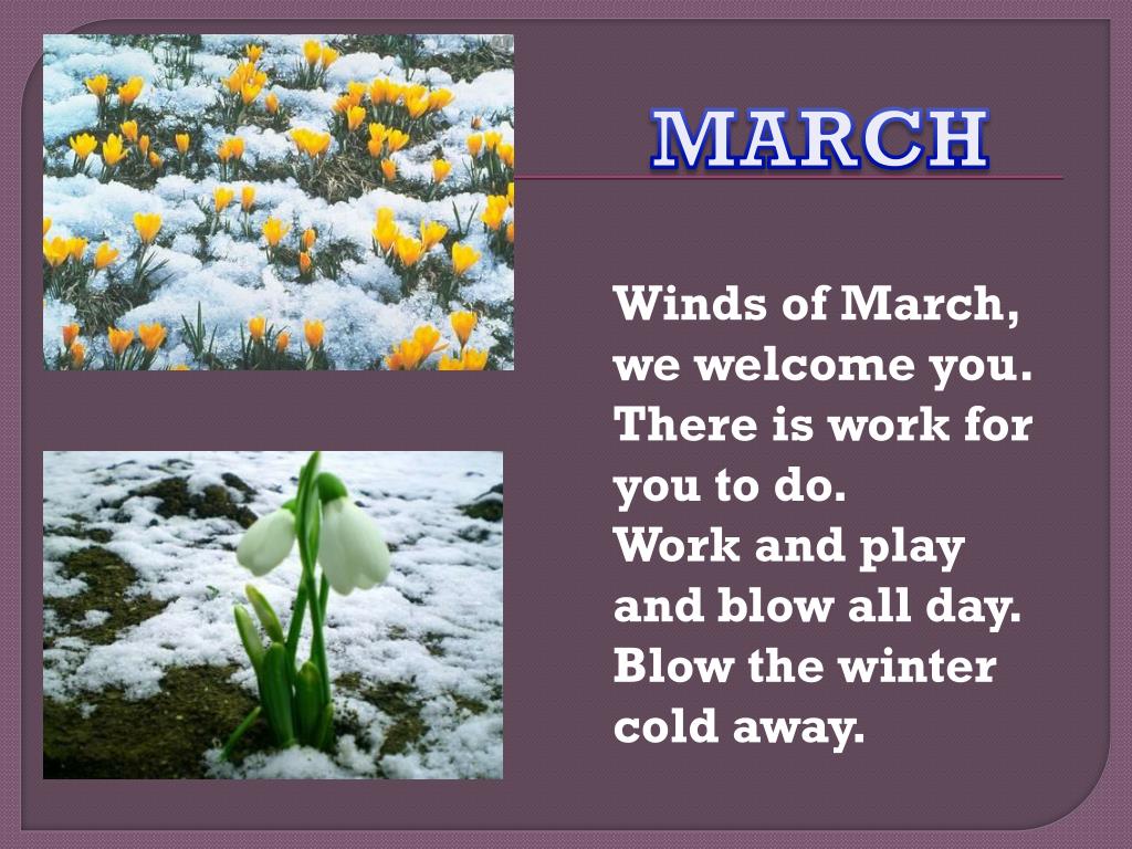 Winds in March стих. Winds of March, we Welcome you, there is work for you to do. Work and Play and blow all Day, blow the Winter Cold away. Cold away