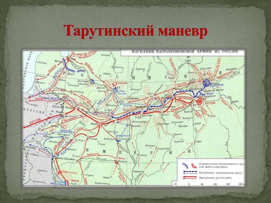 Тарутинский калуга Тарутинский калуга