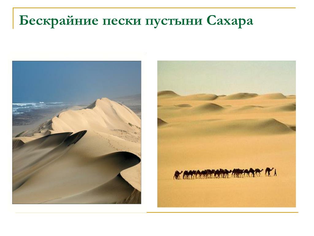 Пустыни на материке евразия. Бескрайние Пески. Кластер на тему пустыня. Размер Сахары пустыни в сравнении.