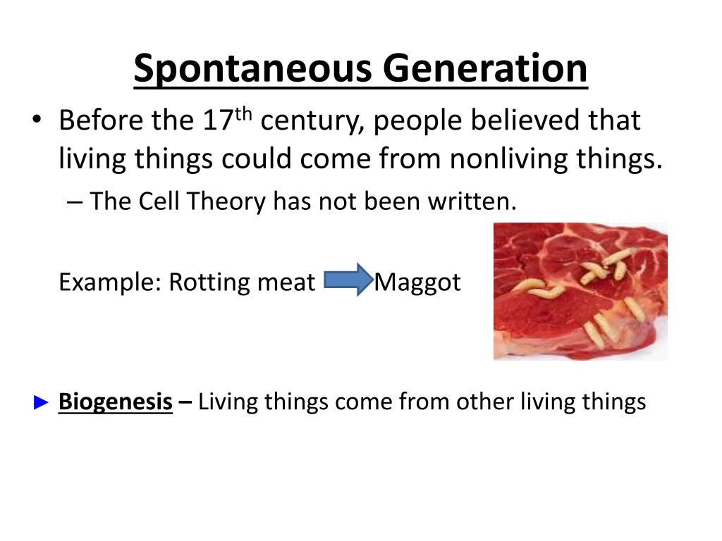 PPT Spontaneous Generation PowerPoint Presentation Free Download 