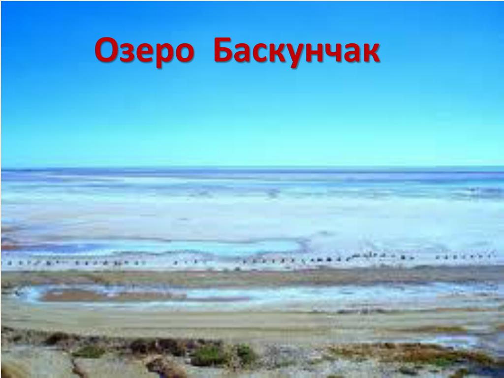 Озеро баскунчак находится. Астраханский заповедник озеро Баскунчак. Баскунчак Тип Озерной котловины. Озеро Баскунчак местонахождение. Солёное озеро в Астраханской области Баскунчак на карте.