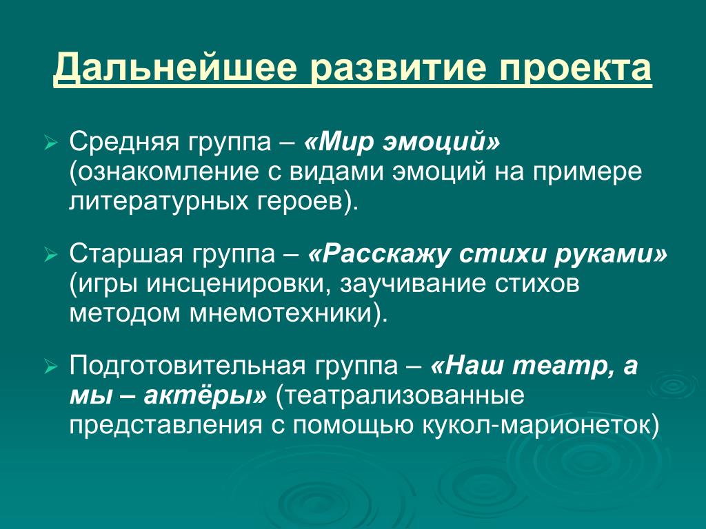 Дальнейшее развитие проекта