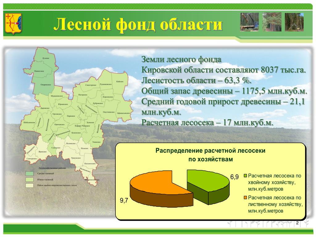 Площадь лесного фонда россии