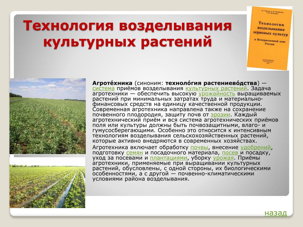 Презентация важнейшие сельскохозяйственные растения