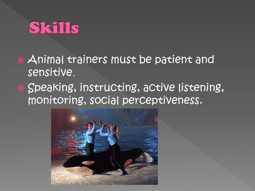 PPT Melinda Hutchins animal trainer PowerPoint Presentation, free