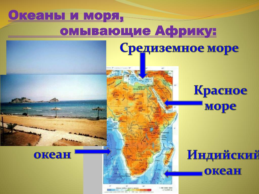 Океан омывающий африку с запада