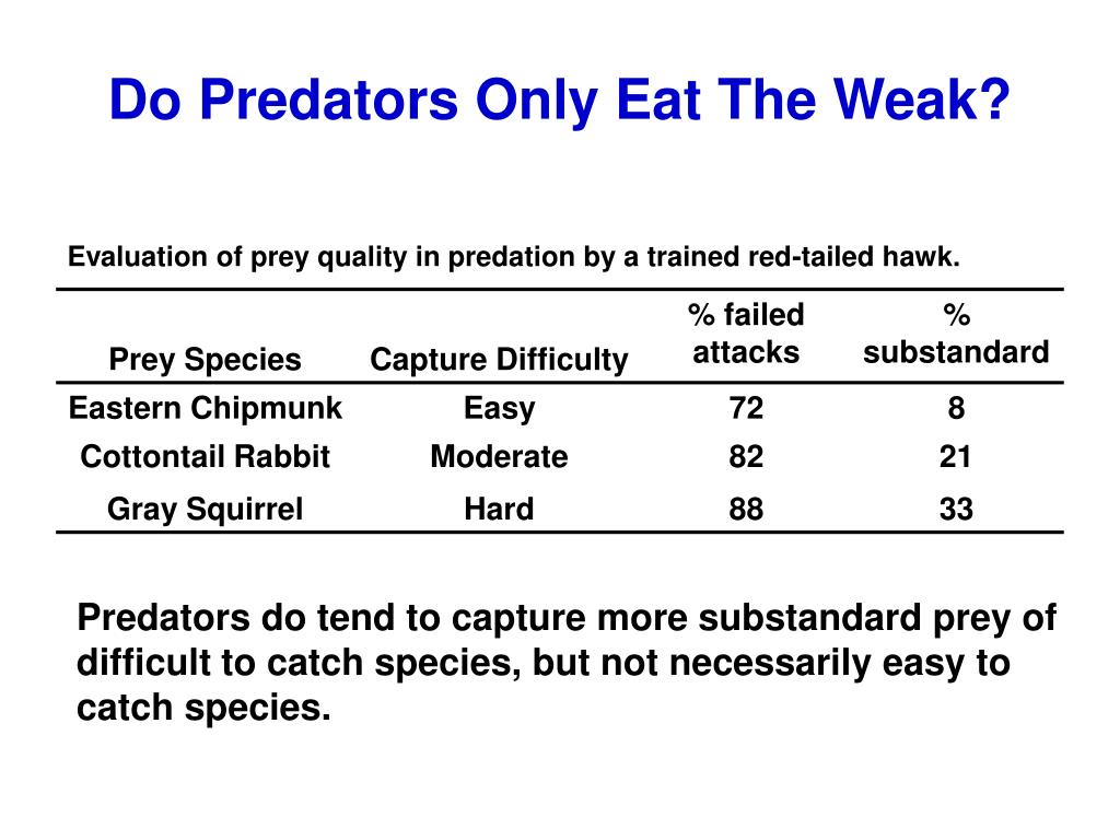 PPT Predation Chapter 13 PowerPoint Presentation, free download