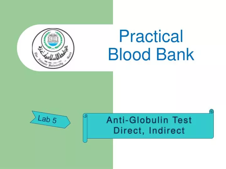 practical blood bank n.