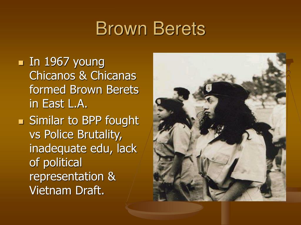 PPT Militant Movements (Black Panthers, Brown Berets and Young Lords Party’s PowerPoint