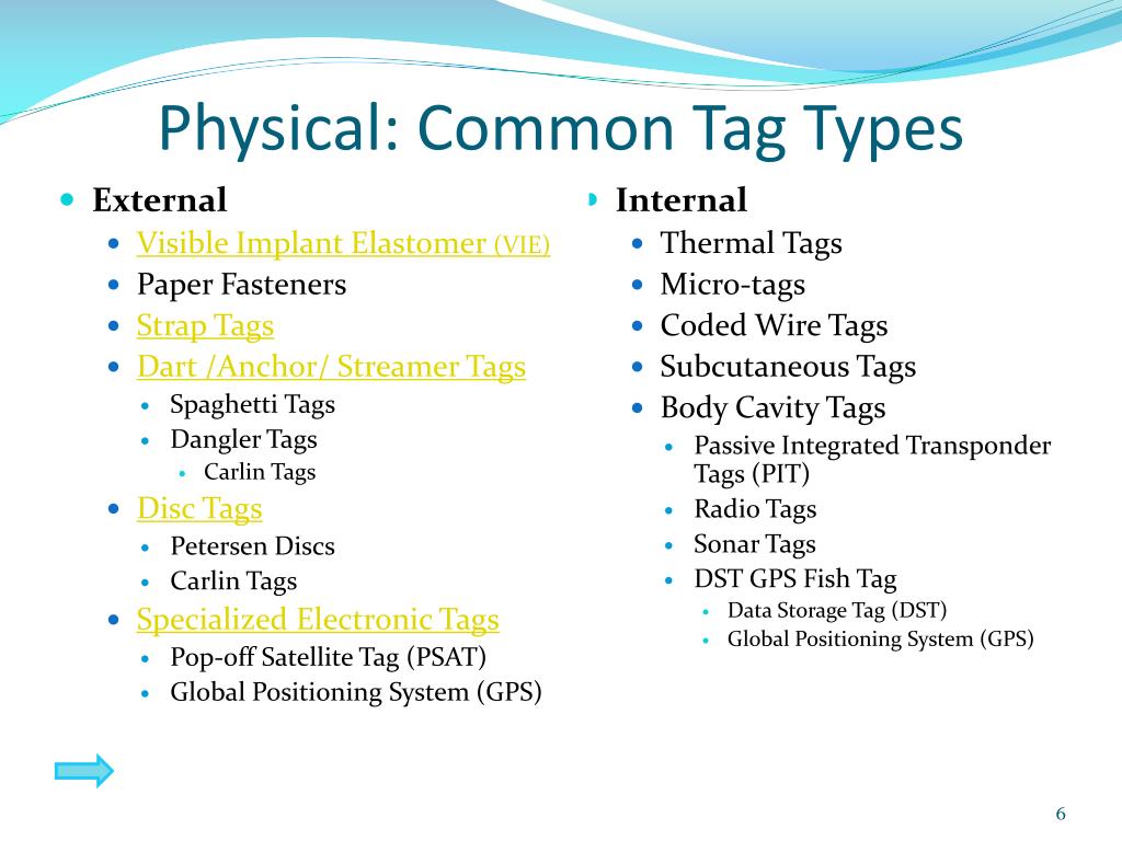 PPT - Tagging Models PowerPoint Presentation, free download - ID:3257405
