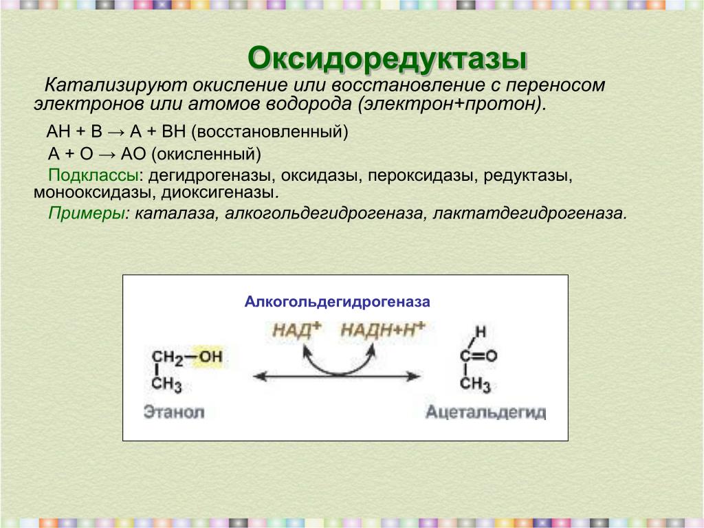 Ферменты примеры реакций. Реакции с ферментом оксидоредуктаза. Характеристика ферментов класса оксидоредуктазы. Оксидоредуктазы дегидрогеназы. Схема реакции оксидоредуктазы.